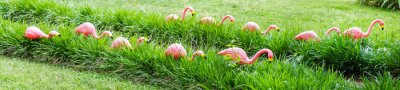 Sticker  Flamants roses se déplaçant dans une herbe verte
