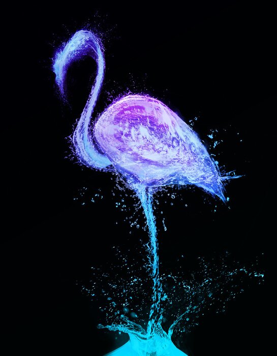 Sticker  Flamingo projections d'eau. Résumé oiseau