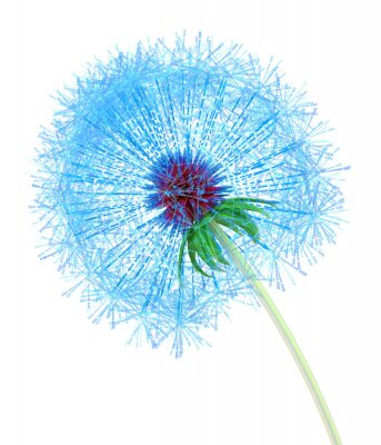 Sticker  Fleur bleue magnifiée