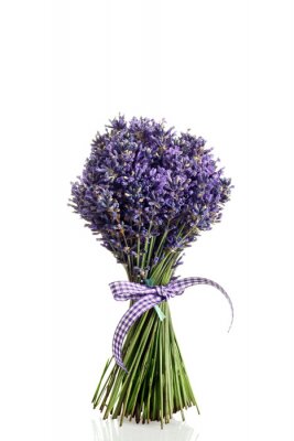 Sticker  Fleur de lavande dans un grand bouquet