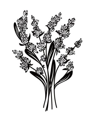 Sticker  Fleur de lavande sur le graphique