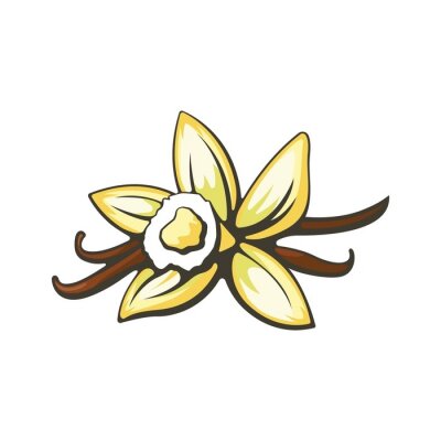 Sticker  Fleur de vanille et les gousses. Vector illustration.