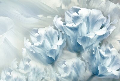 Fleurs bleues de tulipes printanières
