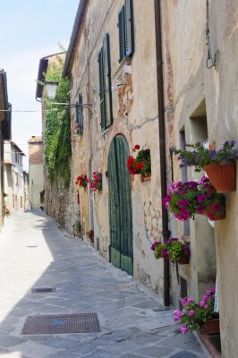 Fleurs colorées près d'un bâtiment ancien