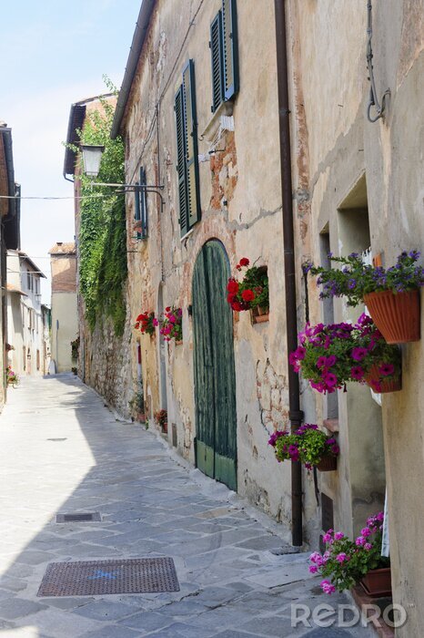 Sticker  Fleurs colorées près d'un bâtiment ancien