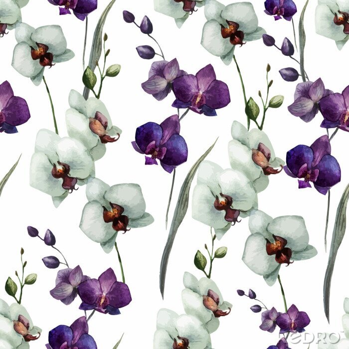 Sticker  Fleurs d&#39;orchidées blanches et violettes dans un style aquarelle