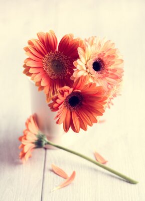 Sticker  Fleurs de couleur saumon sur le bois