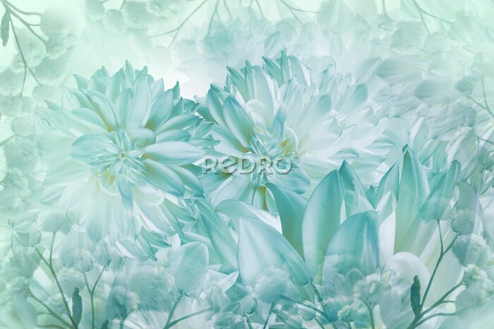 Sticker  Fleurs de dahlia turquoise