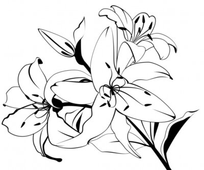 Sticker  Fleurs de lys blanc