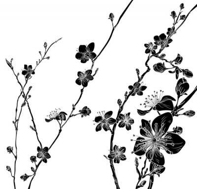 Sticker  Fleurs de pommier noir et blanc