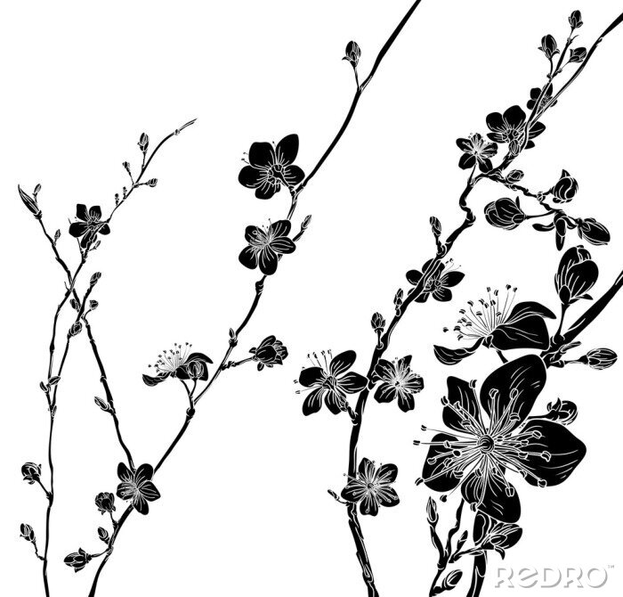 Sticker  Fleurs de pommier noir et blanc