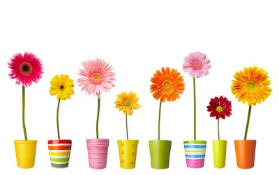 Sticker  Fleurs des champs en pots