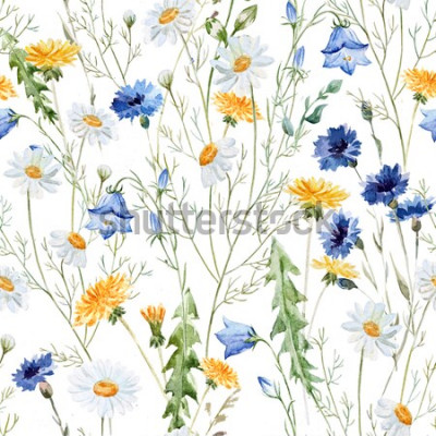 Sticker  Fleurs des champs sur fond blanc