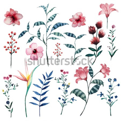 Sticker  Fleurs des champs sur une illustration colorée