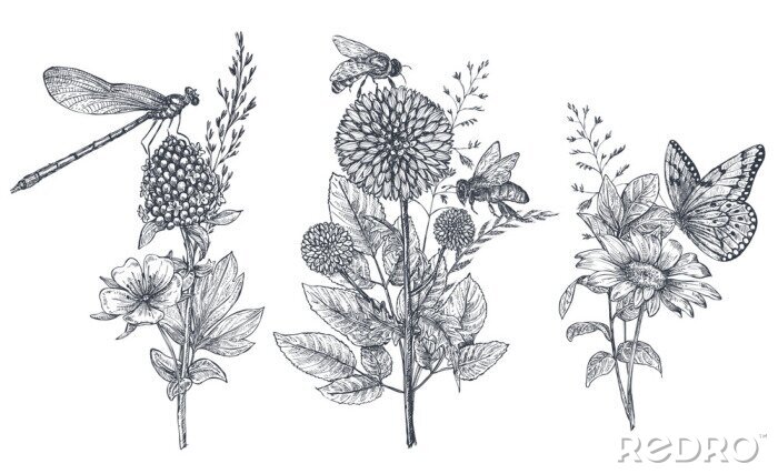 Sticker  Fleurs et insectes noirs et blancs