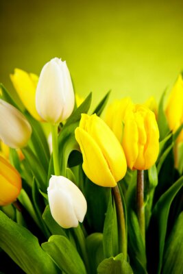 Sticker  Fleurs jaunes dans un bouquet