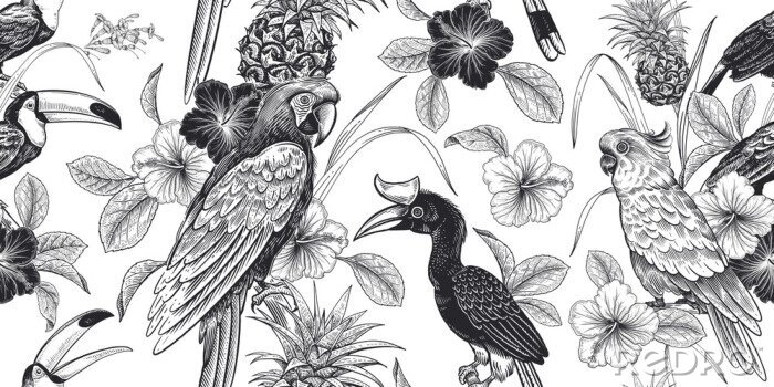 Sticker  Fleurs noires et blanches et oiseaux exotiques