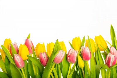 Sticker  Fleurs printanières jaunes et roses