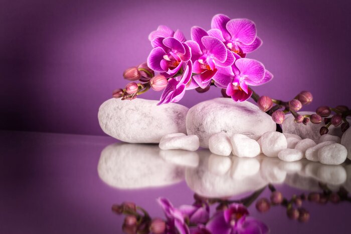 Sticker  Fleurs roses couvrant des pierres blanches