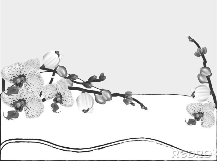 Sticker  Fleurs sur illustration noir et blanc
