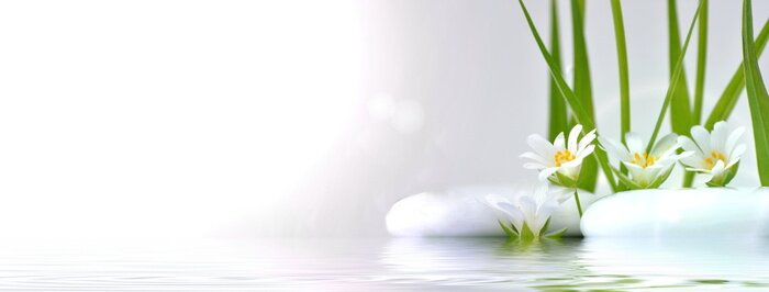 Sticker  Fleurs sur la rive