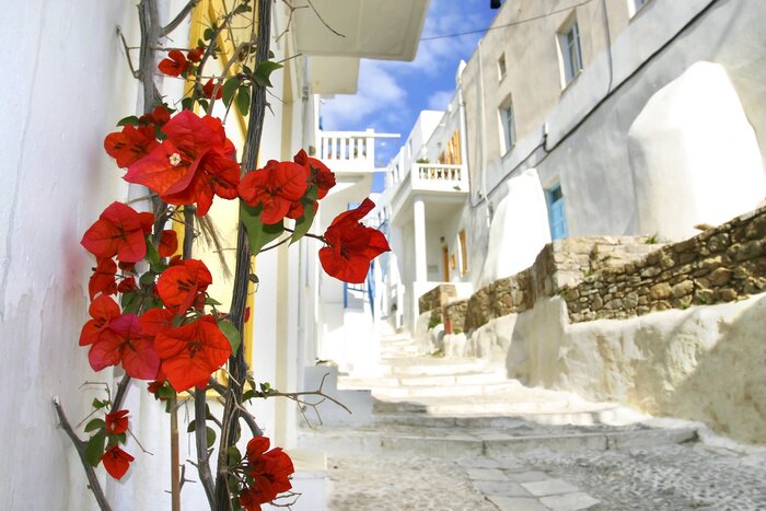 Sticker  fleurs sur une rue mukonos