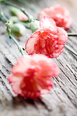 Sticker  Fleurs sur vieilles planches