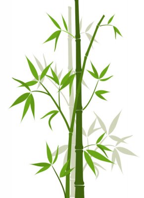 Sticker  Fond de bambou, vecteur