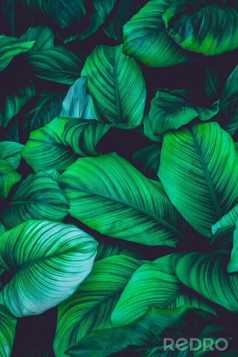 Sticker  Fond vert végétal