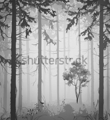 Sticker  forest air landscape with birds, black and white, vector illustration