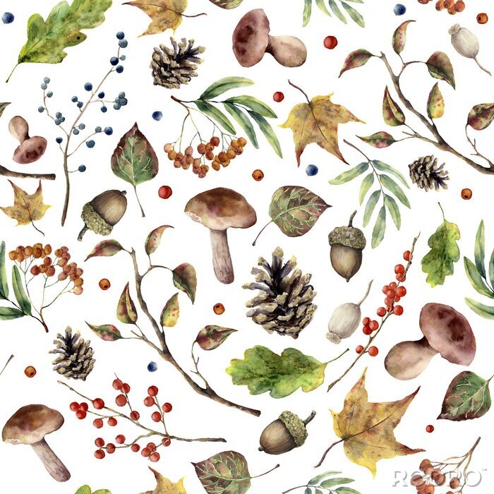 Sticker  Foret de forêt d'automne et automne. Champignons peints à la main, rowan, feuilles d'automne, branche d'arbre, cône de pin, baies et gland isolés sur fond blanc. Illustration de nature pour le design.