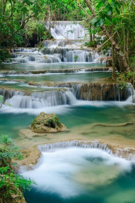 Forêts exotiques avec chutes d'eau