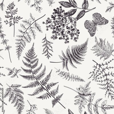 Sticker  Fougère forestière et papillons