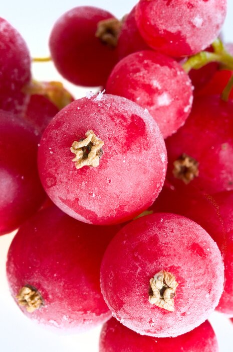 Sticker  fruits dans la glace.