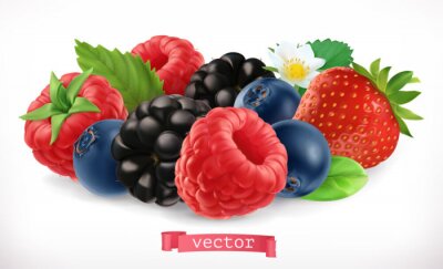 Sticker  Fruits de la forêt et baies. Framboise, fraise, mûre, myrtille. Icône de vecteur réaliste 3D