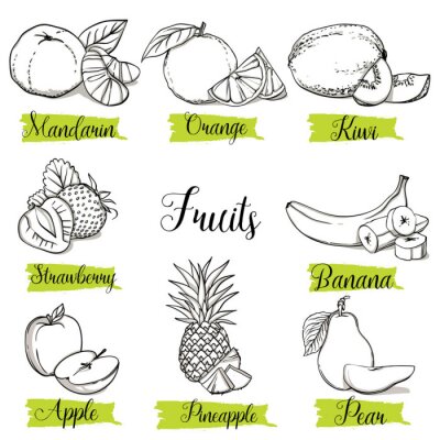 Sticker  Fruits et baies de style croquis dessinés à la main. Mandarine, orange, kiwi, fraise, banane, pomme, ananas et poire. Fruit biologique avec feuille, collection d'illustrations de vecteur doodle isolée