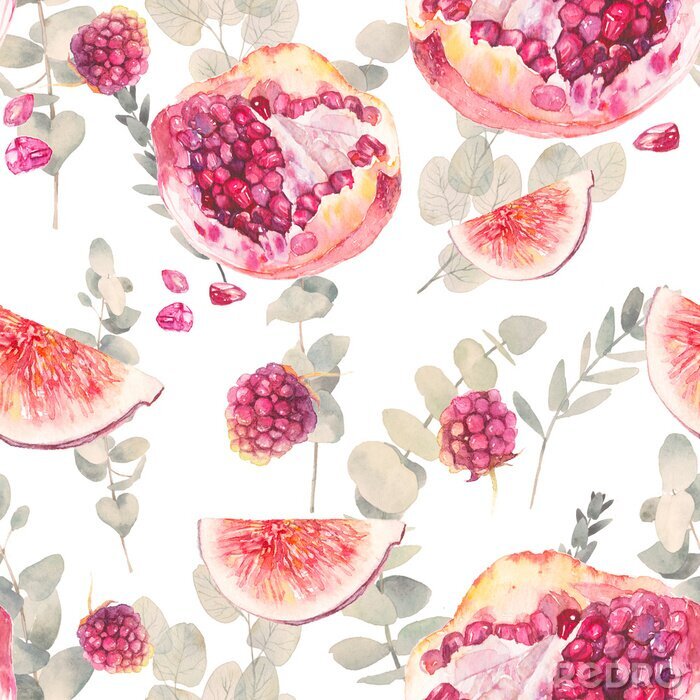 Sticker  Fruits exotiques et brindilles d'eucalyptus sur fond blanc