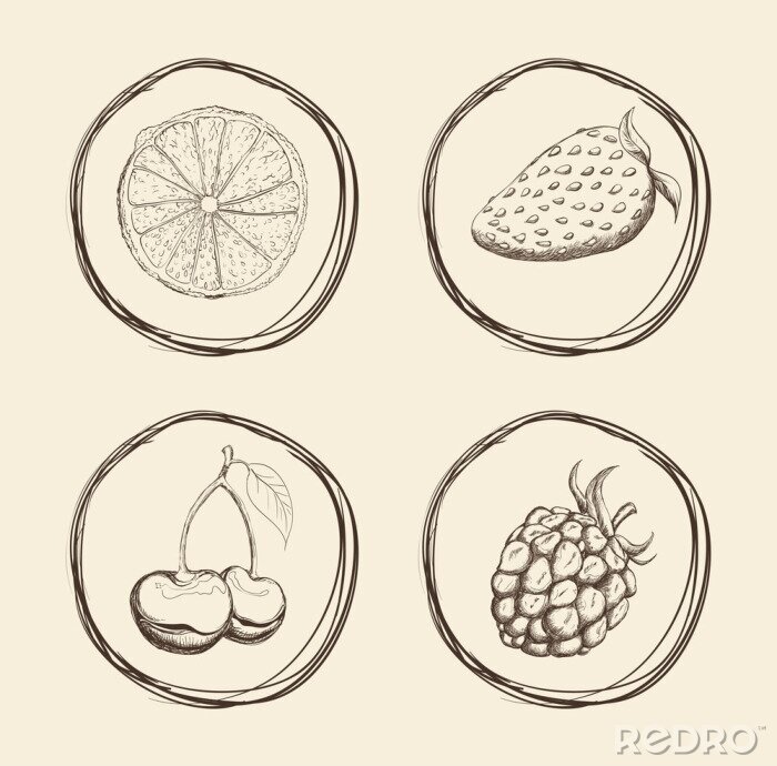 Sticker  Fruits, icône, conception