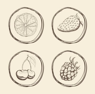 Sticker  Fruits, icône, conception
