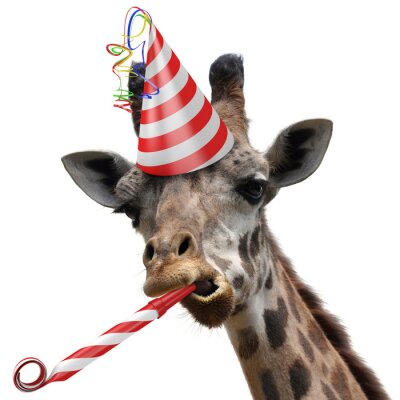 Sticker  Funny giraffe party animal making a silly face