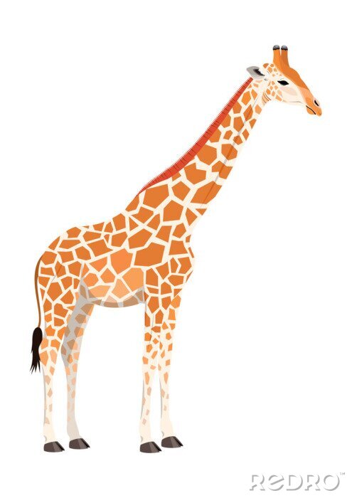 Sticker  Girafe