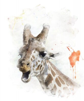 Girafe aquarelle