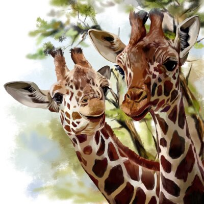 Girafes aquarelles délicates