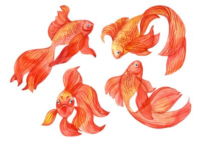 Sticker  golden fish