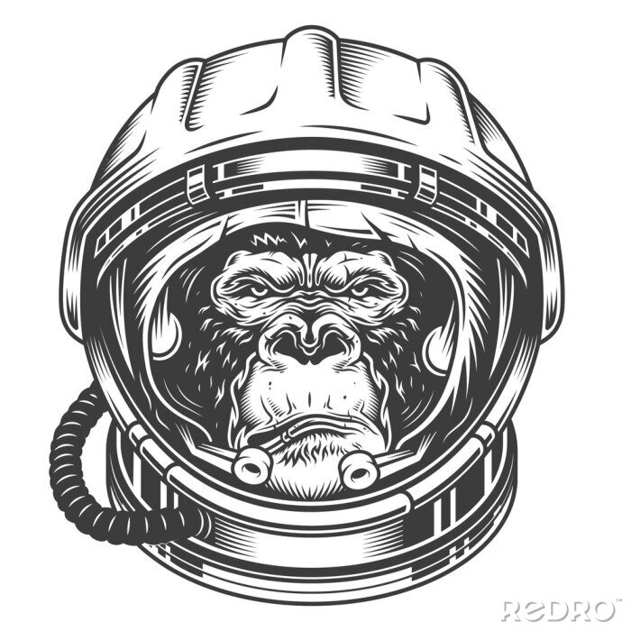 Sticker  Gorille grincheux dans le portrait de casque d'astronaute