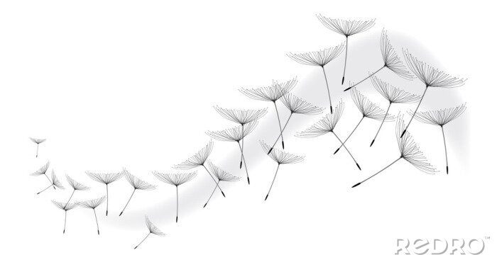 Sticker  Graines de pissenlit emportées par le vent