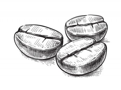 Sticker  Grains de café dessin à l'encre noire