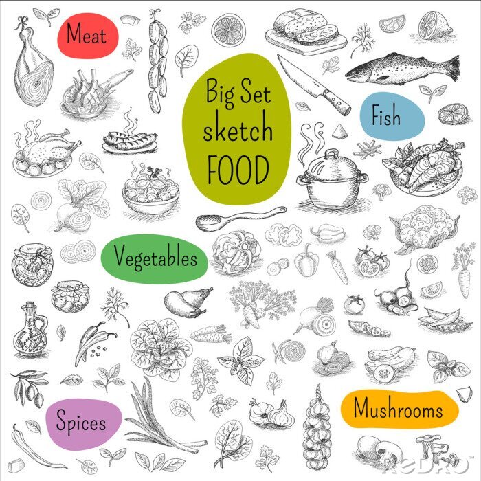 Sticker  Grand ensemble de croquis dessiné Food, fond blanc. Viande, poisson, légumes, champignons, épices. Main, dessiné, vecteur, Illustration