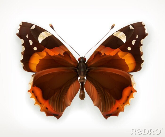 Sticker  Grand papillon marron