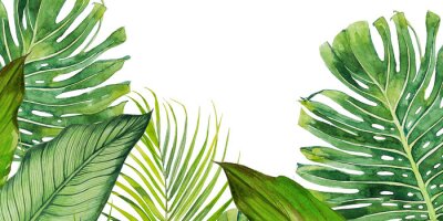 Sticker  Grandes feuilles de plantes tropicales